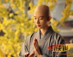 游戏尼姑,穿越古风江湖的修行之旅(图1) 游戏尼姑,穿越古风江湖的修行之旅(图1)
