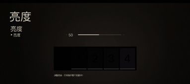 亮度游戏,亮度游戏深度解析(图1) 亮度游戏,亮度游戏深度解析(图1)