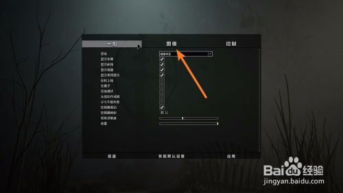 亮度游戏,亮度游戏深度解析(图3) 亮度游戏,亮度游戏深度解析(图3)