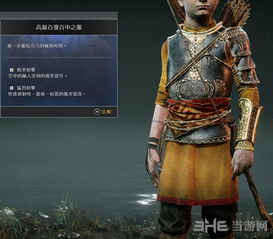 游戏高端服,揭秘游戏高端服的神秘魅力(图1) 游戏高端服,揭秘游戏高端服的神秘魅力(图1)