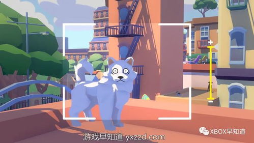 动物摄影师游戏中文版,动物摄影师游戏中文版深度体验(图3) 动物摄影师游戏中文版,动物摄影师游戏中文版深度体验(图3)