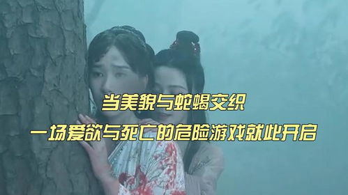 爱欲游戏,一场探索人性深处的游戏之旅(图1)