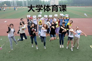 大学游戏呀,青春活力与智慧碰撞的乐章(图1)