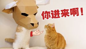伸爪子游戏,指尖上的智慧对决(图1)
