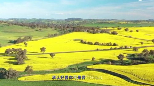 当桌面游戏,欢乐时光的无限可能(图3) 当桌面游戏,欢乐时光的无限可能(图3)