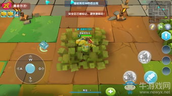 游戏中云小小和云飘飘是什么关系,云小小与云飘飘的奇妙缘分(图1)