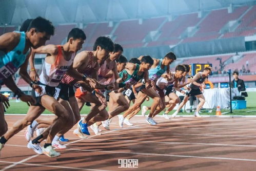 老田径游戏,老田径游戏中的激情与挑战(图2) 老田径游戏,老田径游戏中的激情与挑战(图2)