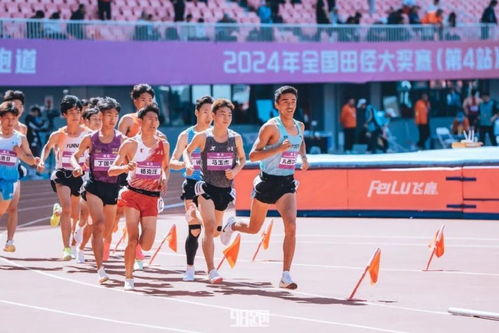 老田径游戏,老田径游戏中的激情与挑战(图3) 老田径游戏,老田径游戏中的激情与挑战(图3)