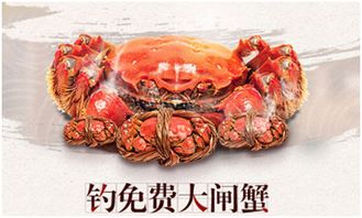 游戏大闸蟹,品味鲜美(图3)