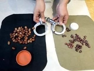 猜蚕豆游戏,智慧碰撞的欢乐时光(图3)