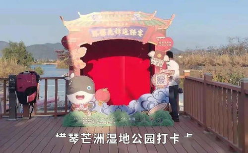 横琴游戏,打造创新娱乐新天地(图3)