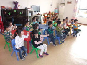 为什么幼儿园以游戏为基本活动,幼儿园教育活动的核心价值与实践探索(图3)