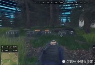 鸡破产游戏,一场啼笑皆非的金融冒险之旅(图2) 鸡破产游戏,一场啼笑皆非的金融冒险之旅(图2)