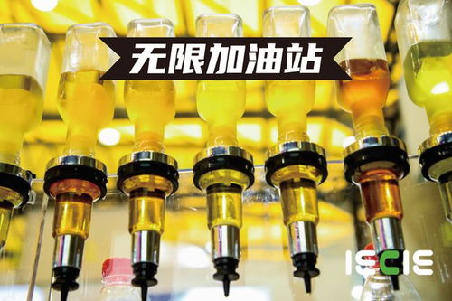 游戏iec,IEC游戏深度解析(图3) 游戏iec,IEC游戏深度解析(图3)