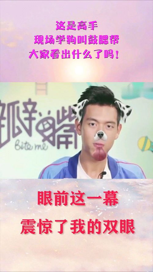 鼓腮帮游戏,欢乐无限(图2)