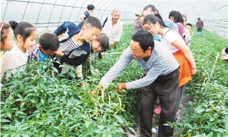 农事游戏,传承农耕文化(图3) 农事游戏,传承农耕文化(图3)