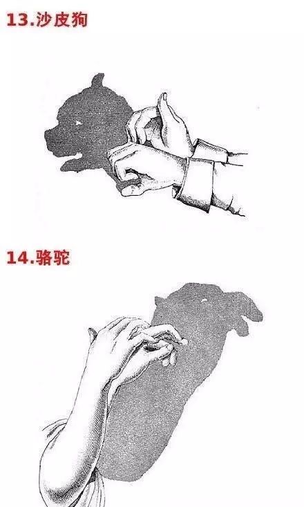 游戏手影戏,指尖上的光影传奇(图2)