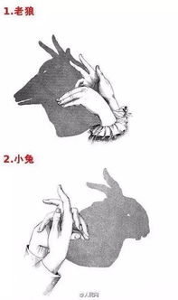 游戏手影戏,指尖上的光影传奇(图3)