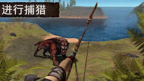 游戏森林孤岛,揭秘神秘孤岛的生存法则(图2) 游戏森林孤岛,揭秘神秘孤岛的生存法则(图2)