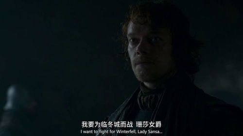 权力的游戏第二季席恩,席恩的崛起与挑战(图3) 权力的游戏第二季席恩,席恩的崛起与挑战(图3)