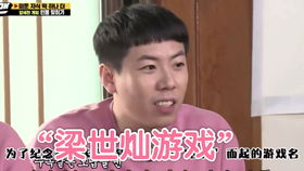 世灿游戏,引领潮流的数字娱乐新纪元(图2)