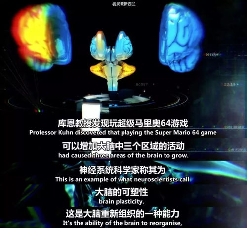 海马体 游戏,探索记忆深处的虚拟之旅(图3)