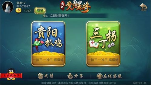 麻将游戏贵阳,传承与创新并重的民间智慧游戏(图2)