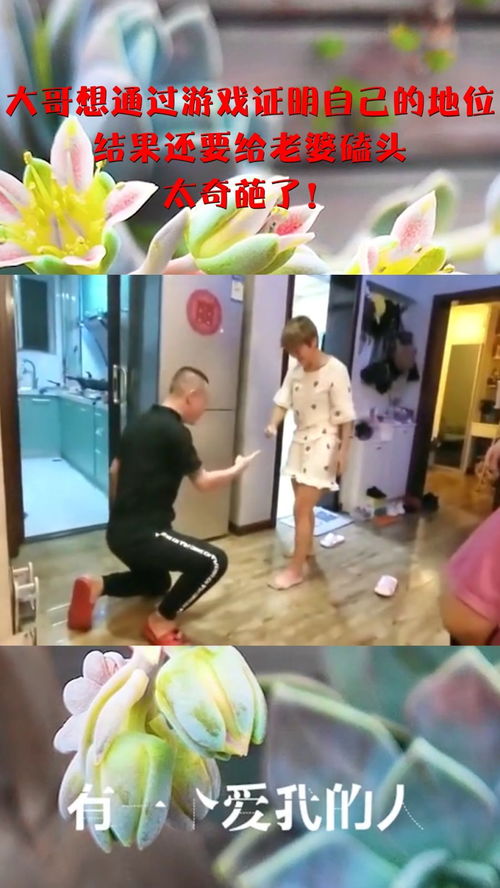 磕头游戏,挑战友谊的极限(图1) 磕头游戏,挑战友谊的极限(图1)