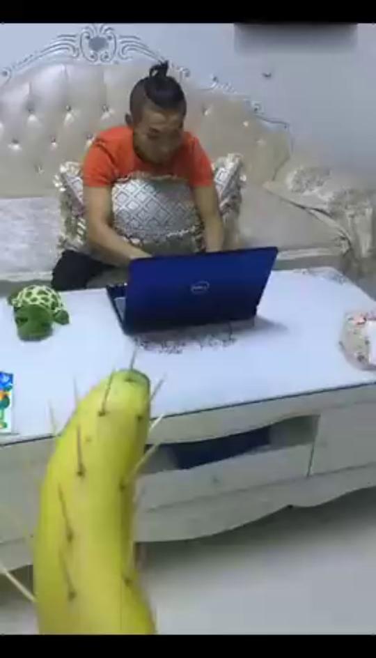 香蕉打游戏,香蕉界的游戏高手崛起记(图1) 香蕉打游戏,香蕉界的游戏高手崛起记(图1)