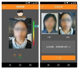 假实名游戏,虚拟世界中的真实身份之谜(图1)