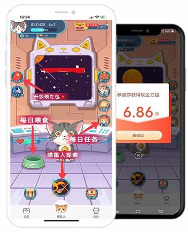 分红喵游戏,揭秘虚拟世界中的财富增长之旅(图2)