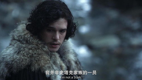权利的游戏雪诺父亲,雪诺之父的荣耀与宿命(图3) 权利的游戏雪诺父亲,雪诺之父的荣耀与宿命(图3)
