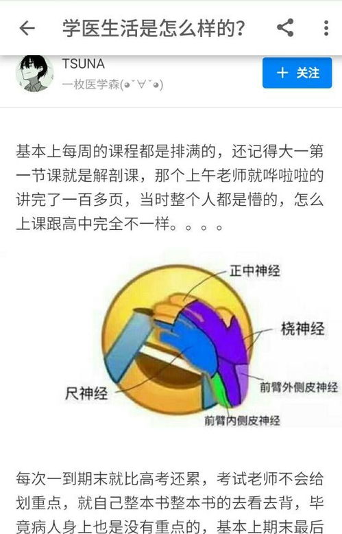 学医打游戏,跨界奇才的精彩人生(图2)