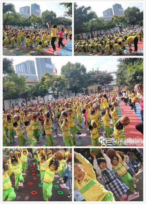 协调跑游戏,挑战身体与思维的极限竞技体验(图1) 协调跑游戏,挑战身体与思维的极限竞技体验(图1)