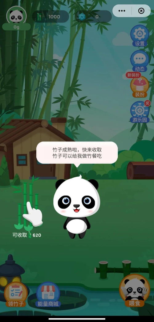 熊猫竹子游戏,绿色生态的趣味探险之旅(图1)