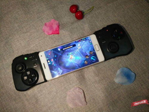 v3游戏手柄 (图3)