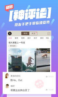 内涵段子游戏有哪些,趣味横生的互动娱乐盛宴(图3) 内涵段子游戏有哪些,趣味横生的互动娱乐盛宴(图3)