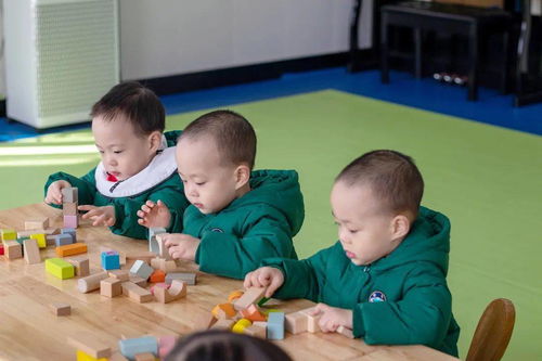 新感统游戏,快乐成长的互动乐园(图2) 新感统游戏,快乐成长的互动乐园(图2)