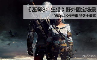 选党卫军游戏,二战风云中的忠诚与背叛(图3) 选党卫军游戏,二战风云中的忠诚与背叛(图3)