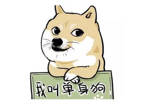 寻找单身狗游戏,游戏中的浪漫邂逅(图3)