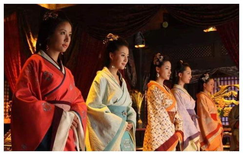 宫女变皇后的游戏,从宫女到皇后的传奇之路(图1) 宫女变皇后的游戏,从宫女到皇后的传奇之路(图1)