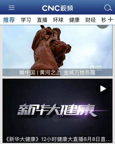 央客怎么直播游戏,轻松开启你的游戏直播之旅(图3) 央客怎么直播游戏,轻松开启你的游戏直播之旅(图3)