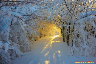 雪景游戏图,雪景游戏图中的冬日童话世界(图1) 雪景游戏图,雪景游戏图中的冬日童话世界(图1)