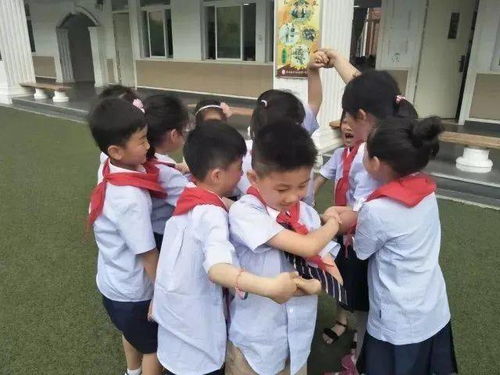 信任之旅游戏规则,揭秘游戏规则与心灵互动奥秘(图1) 信任之旅游戏规则,揭秘游戏规则与心灵互动奥秘(图1)