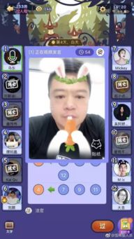 连麦玩游戏,互动娱乐新体验(图2)