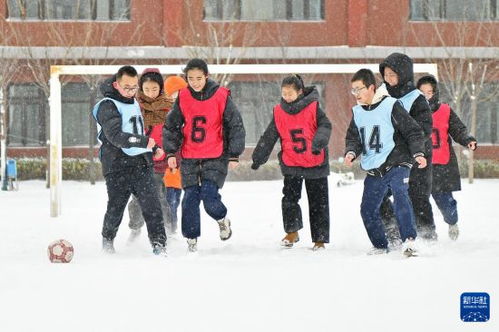 雪地足球游戏,雪地足球游戏的欢乐竞技场(图1) 雪地足球游戏,雪地足球游戏的欢乐竞技场(图1)