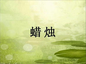 心有灵犀游戏词汇,共赴智慧之旅(图2) 心有灵犀游戏词汇,共赴智慧之旅(图2)