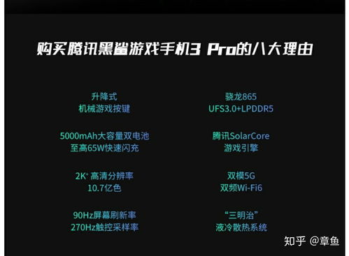 剑网3旗舰版 (图2) 剑网3旗舰版 (图2)