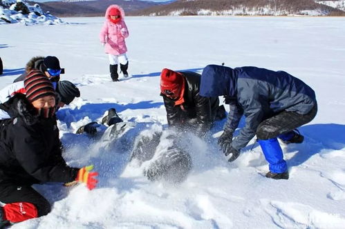 雪地打滚游戏,一场欢乐无限的打滚游戏盛宴(图1) 雪地打滚游戏,一场欢乐无限的打滚游戏盛宴(图1)