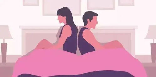 性冷淡游戏,性冷淡游戏深度解析(图3) 性冷淡游戏,性冷淡游戏深度解析(图3)